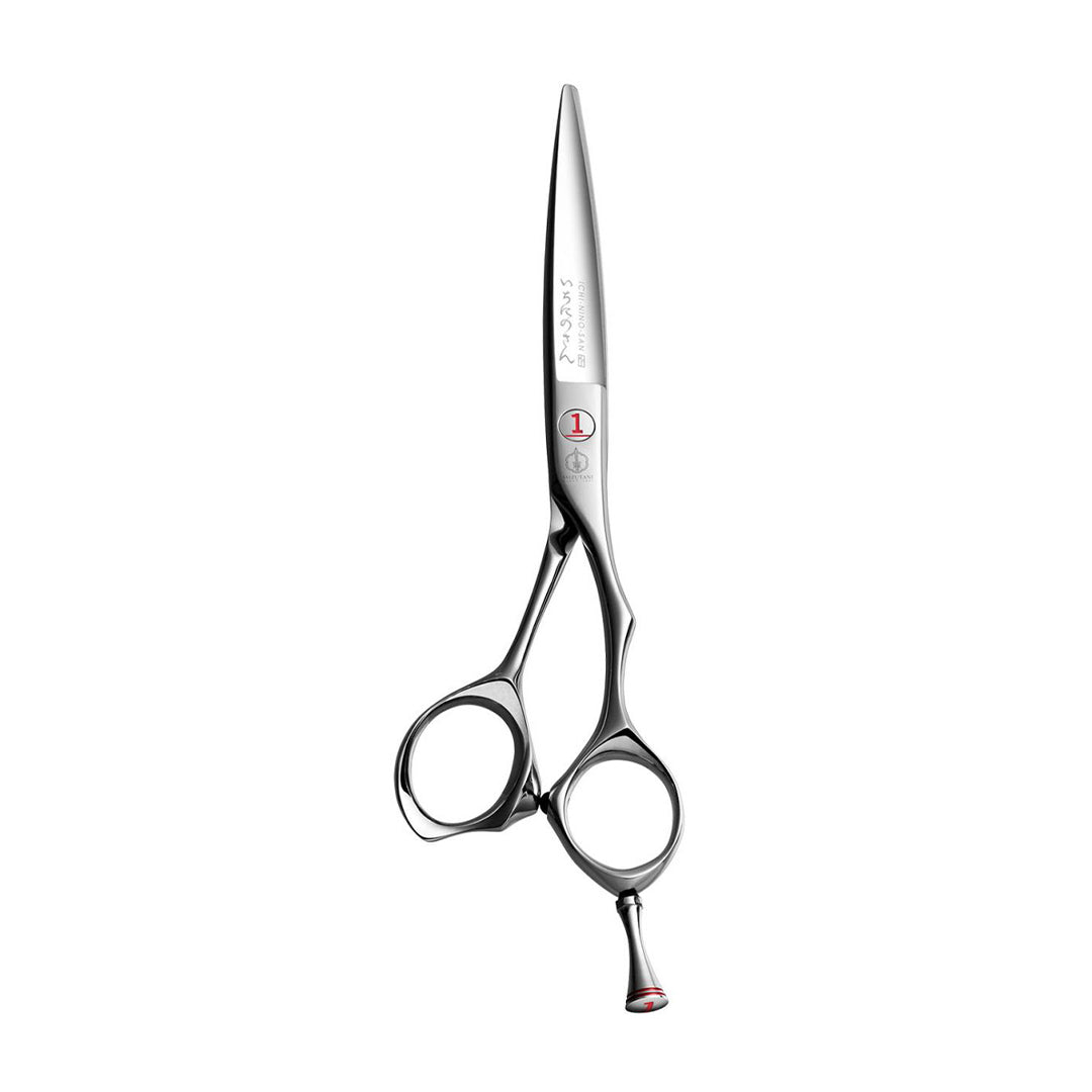 MIZUTANI SCISSORS – Free Salon Education
